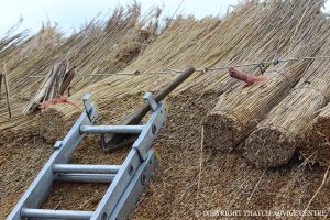 Thatching tools
